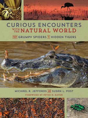cover image of Curious Encounters with the Natural World